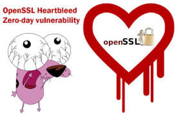 What Versions Of The OpenSSL Are Affected?